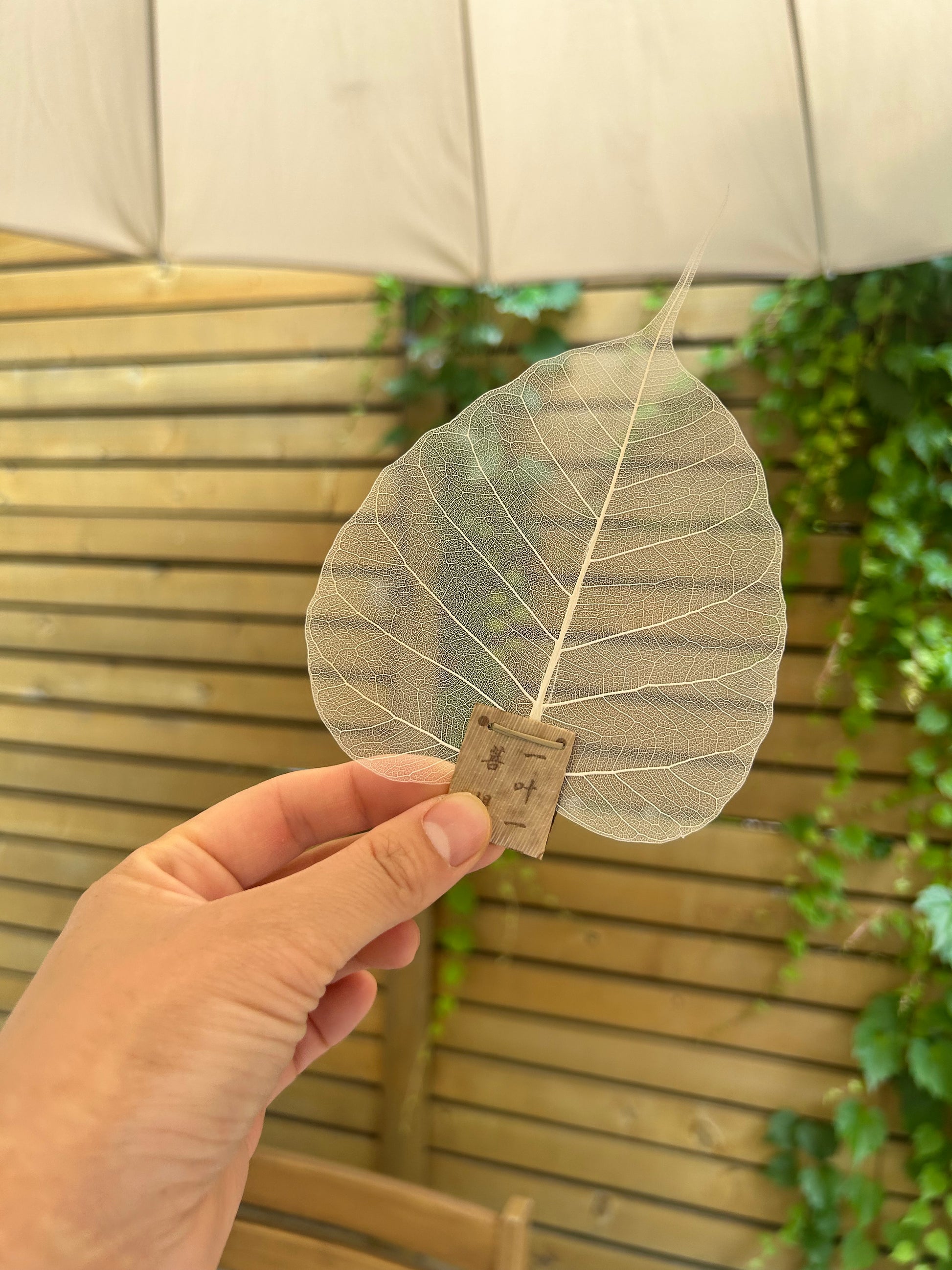 Leaf Tea Strainer