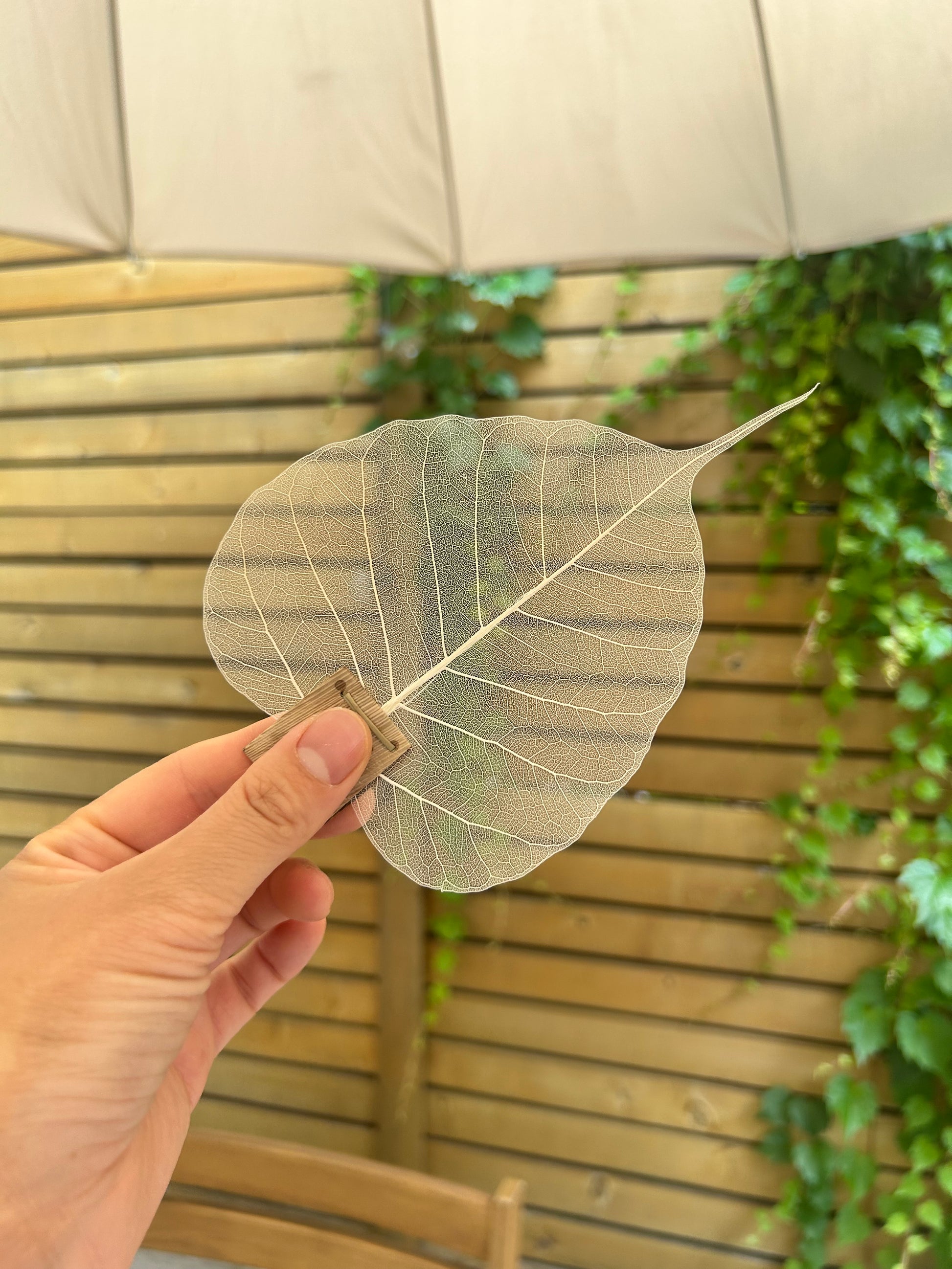 Leaf Tea Strainer
