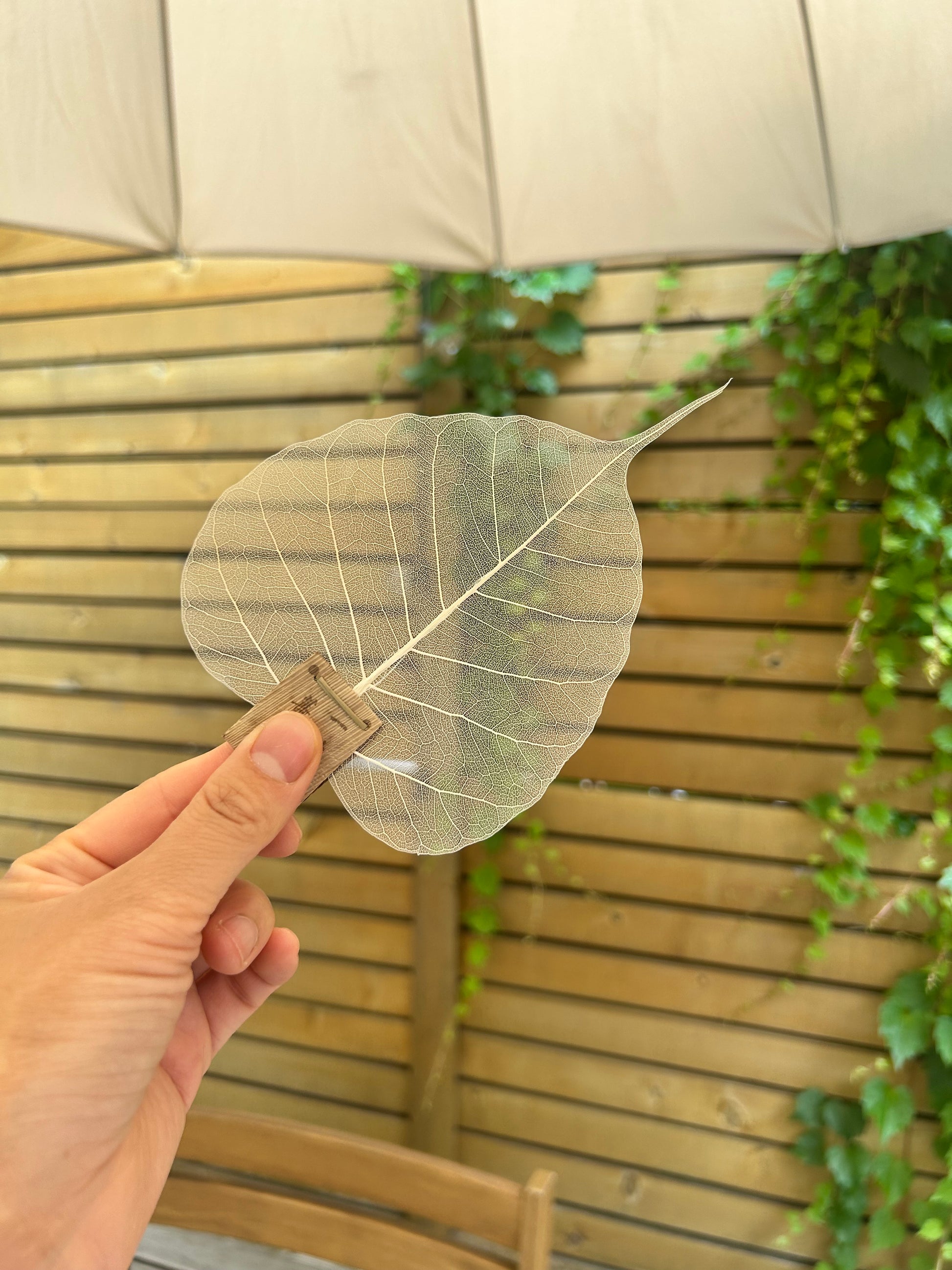 Leaf Tea Strainer