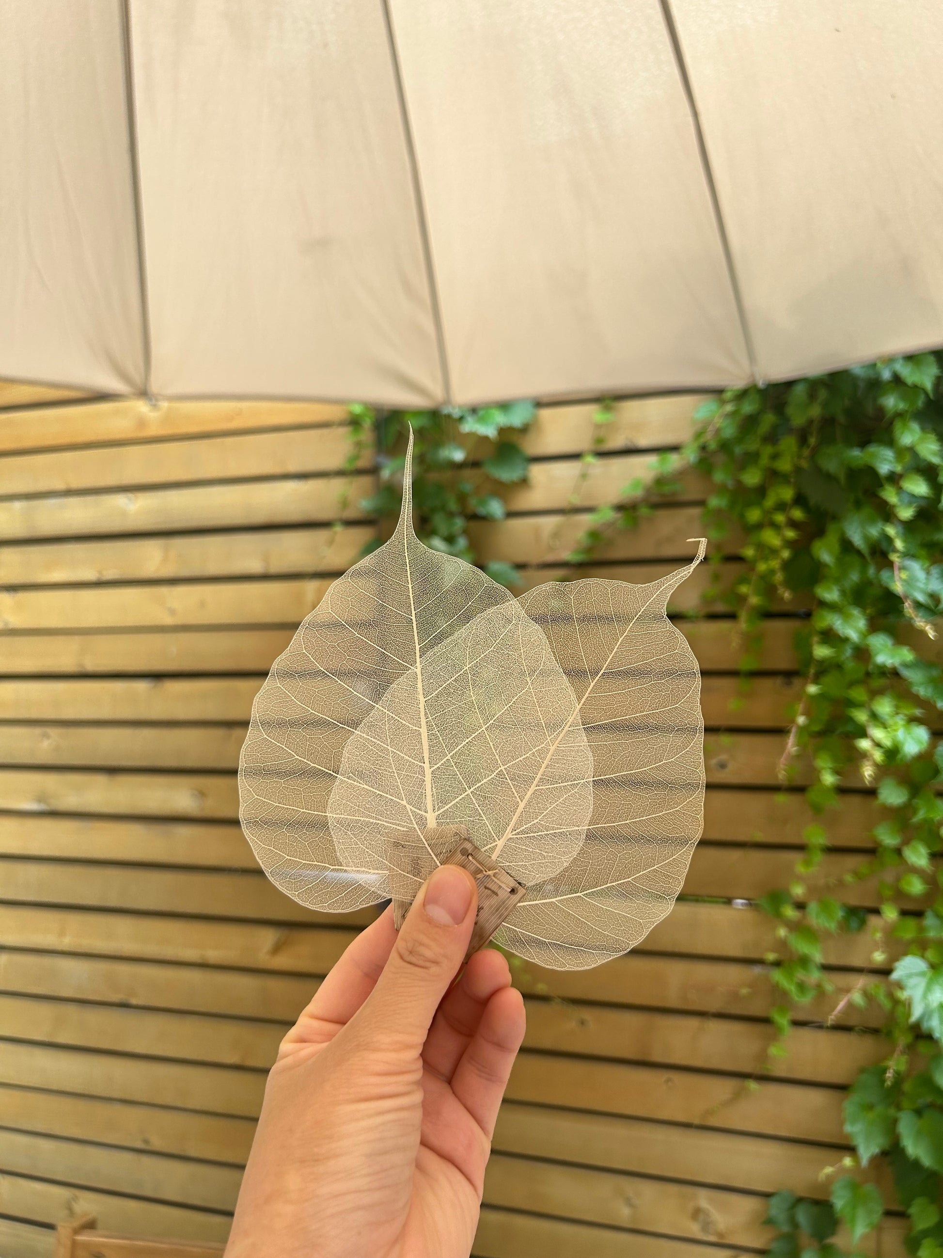 Leaf Tea Strainer
