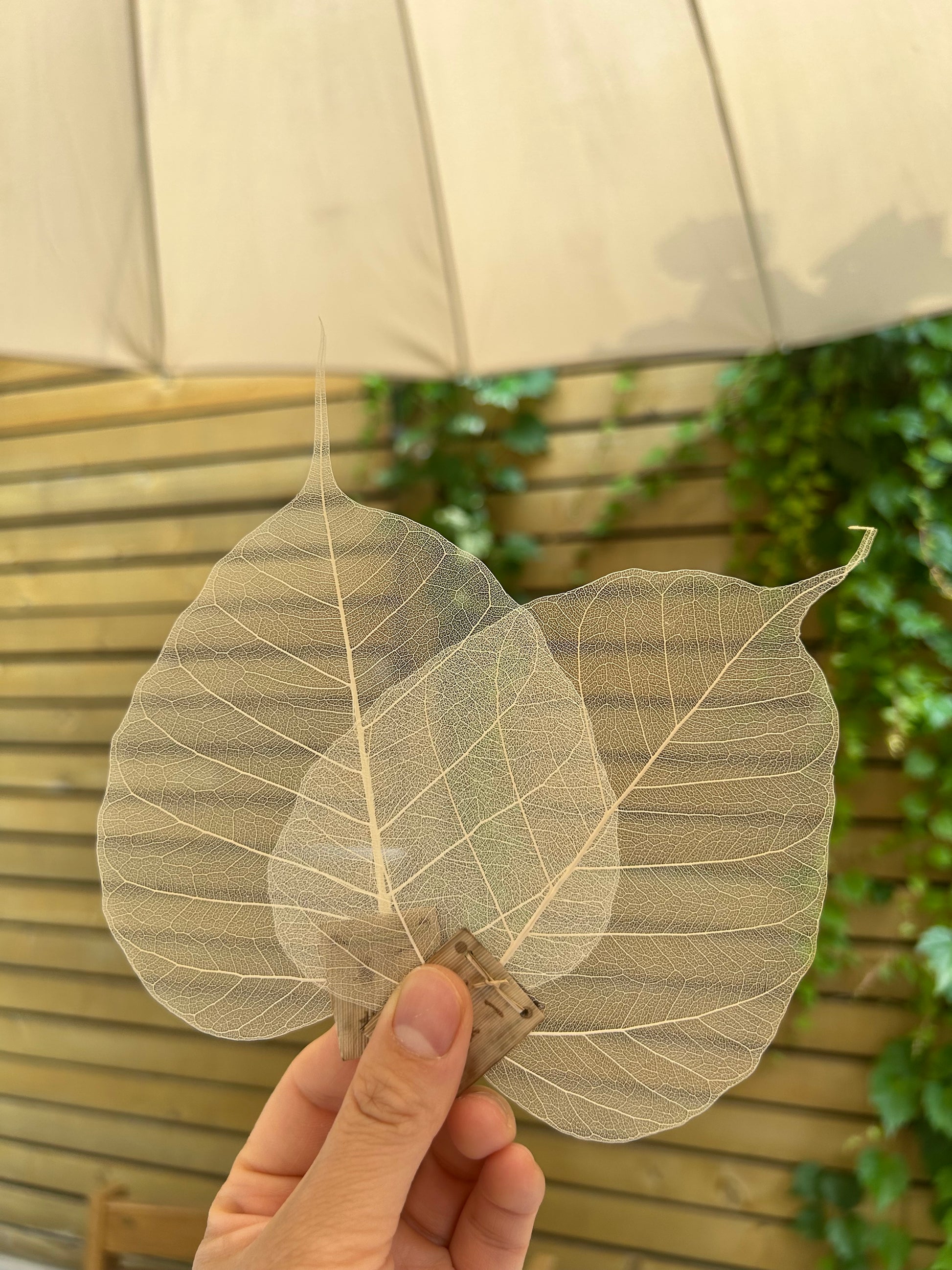 Leaf Tea Strainer